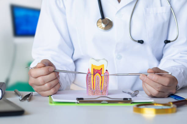 Best Emergency Treatment for Dental Infections or Abscesses in Cane Savannah, SC